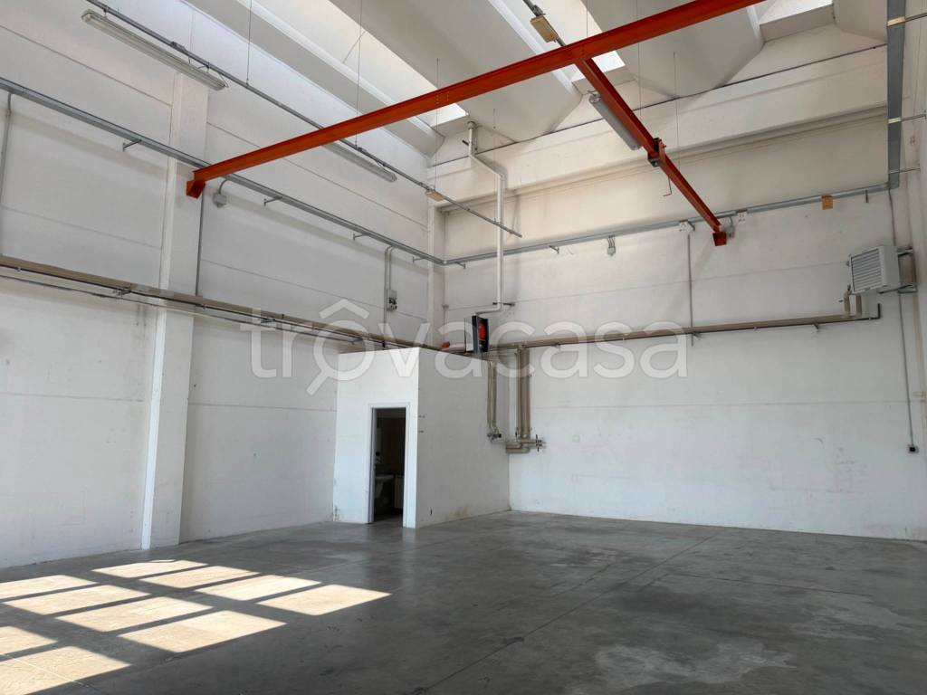 immagine annuncio 1 di 11