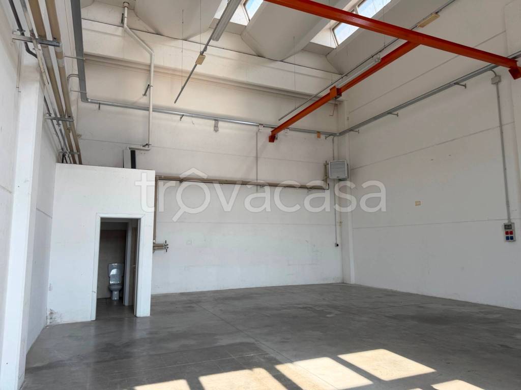 immagine annuncio 2 di 11