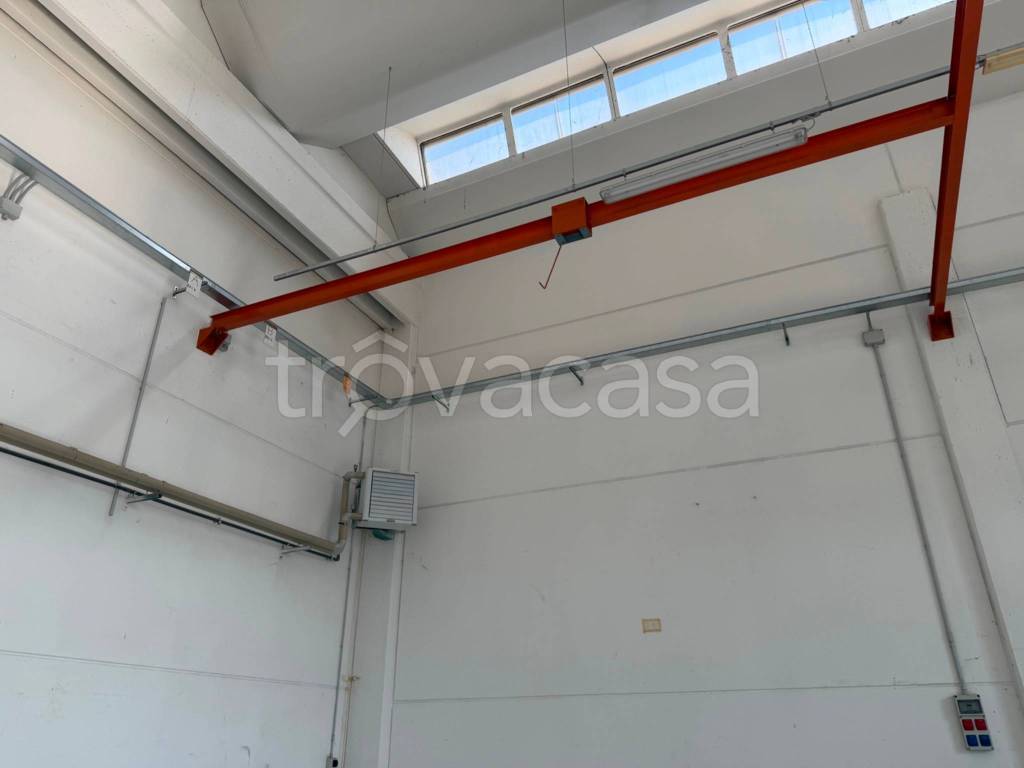 immagine annuncio 4 di 11