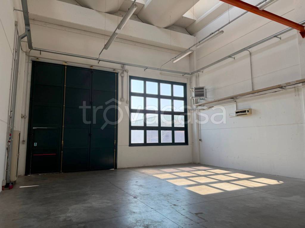 immagine annuncio 5 di 11