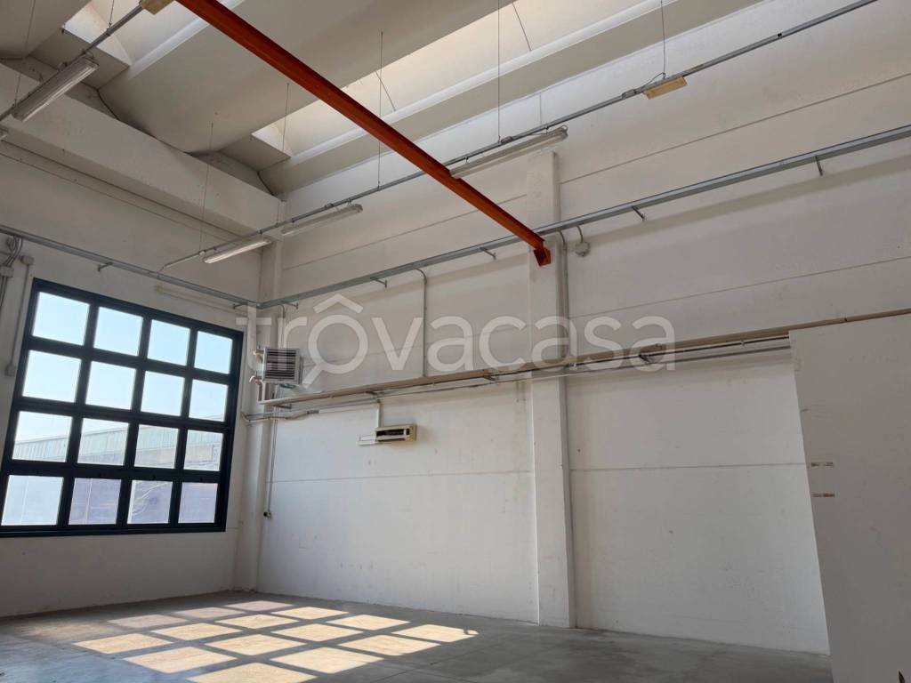 immagine annuncio 7 di 11