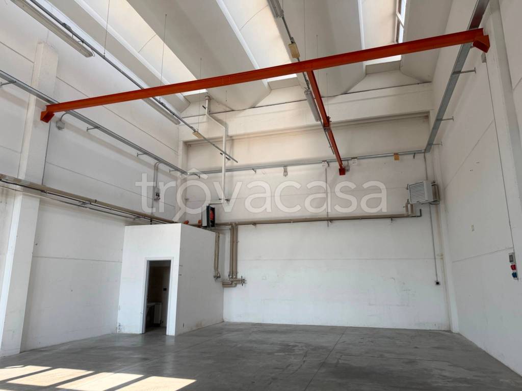 immagine annuncio 9 di 11