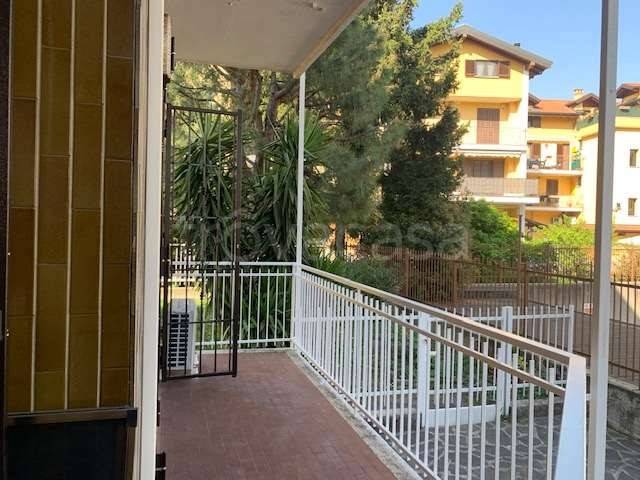 immagine annuncio 2 di 12