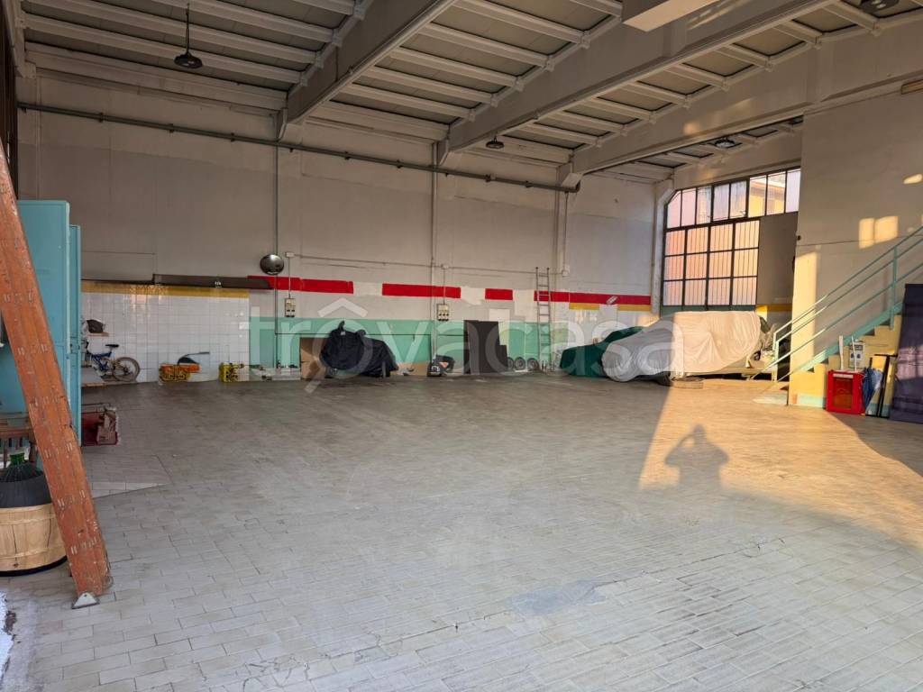 immagine annuncio 3 di 15