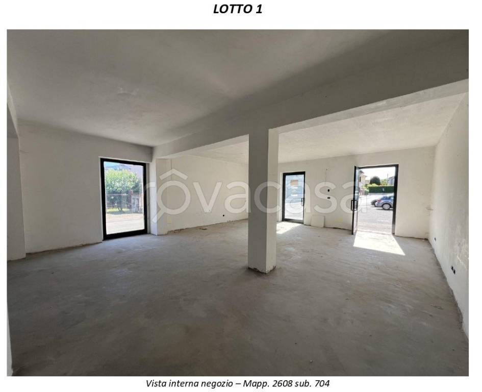 immagine annuncio 3 di 8