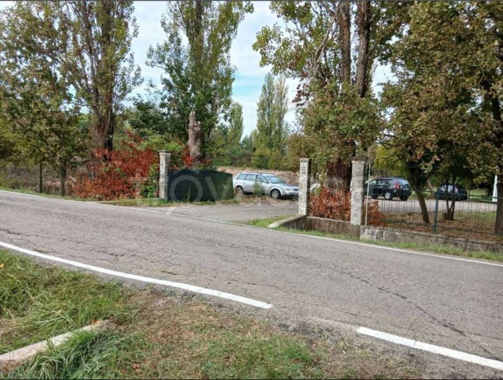 immagine annuncio 3 di 13