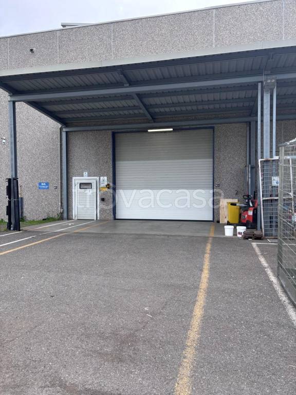 immagine annuncio 5 di 15