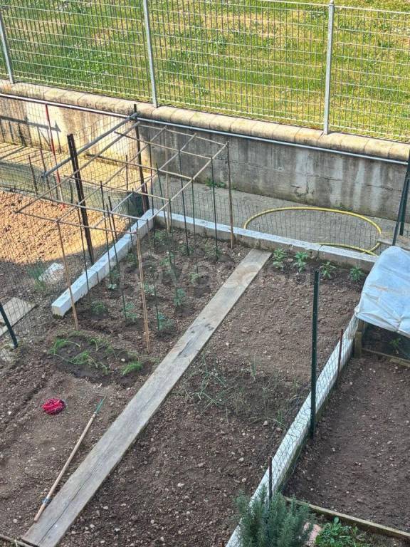 immagine annuncio 6 di 11