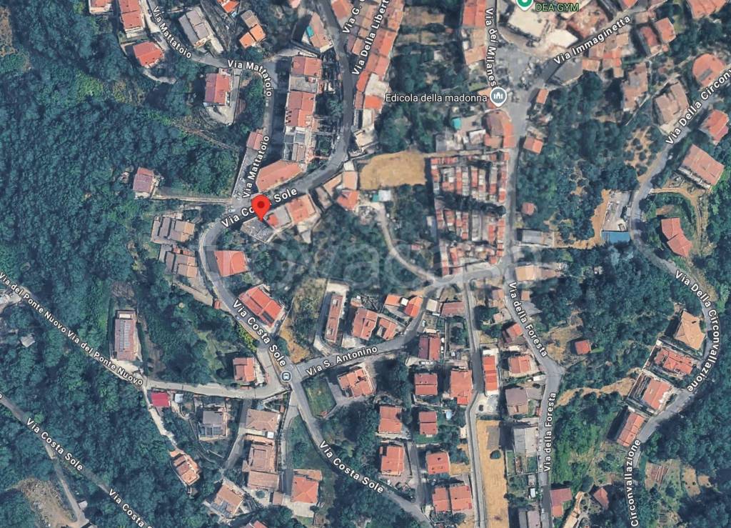 immagine annuncio 7 di 10