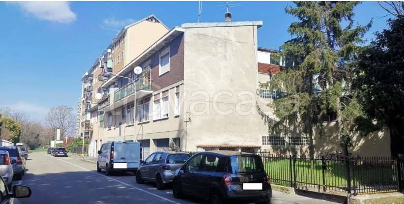 immagine annuncio 3 di 12