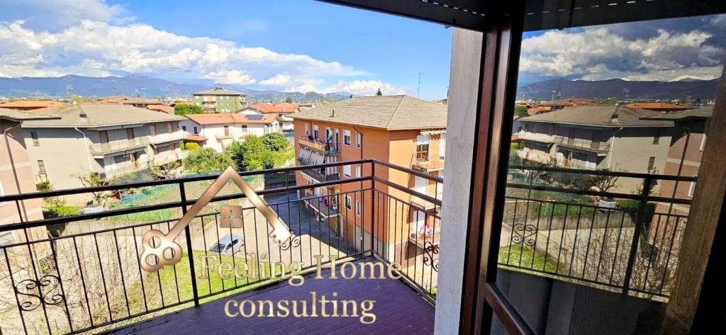 immagine annuncio 5 di 12