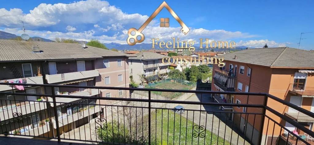 immagine annuncio 9 di 12