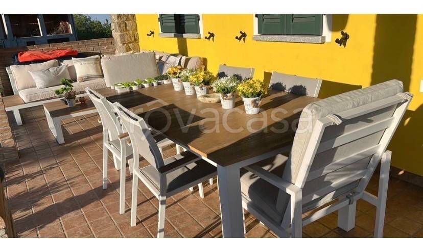 immagine annuncio 8 di 14