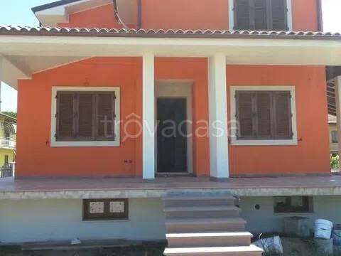 immagine annuncio 2 di 11