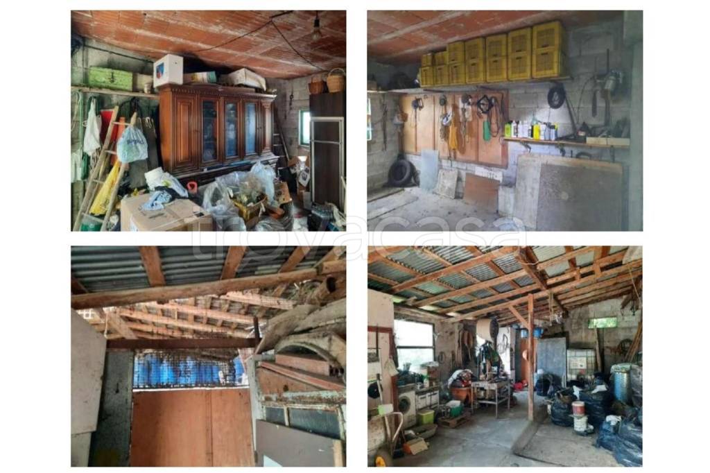 immagine annuncio 2 di 13