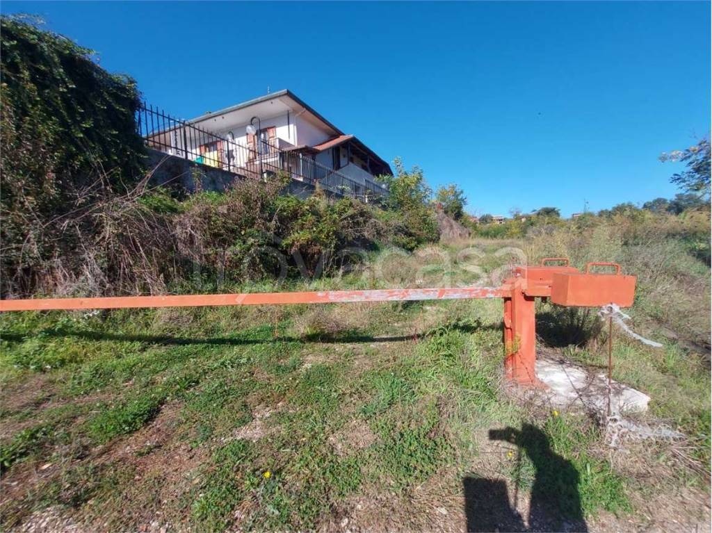 immagine annuncio 2 di 3