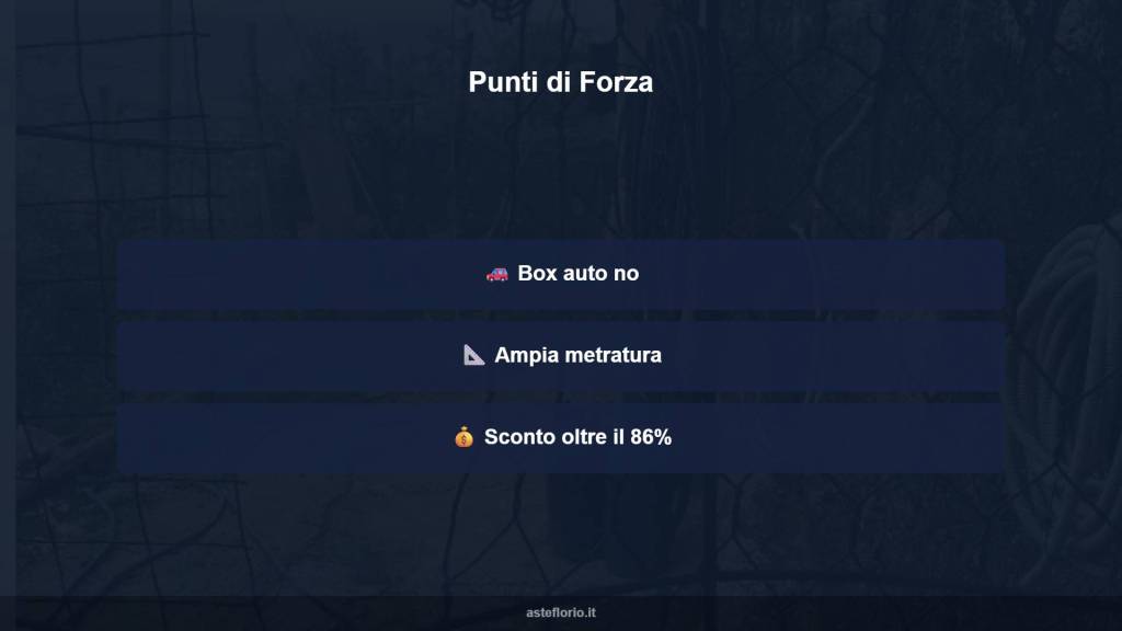 immagine annuncio 13 di 15