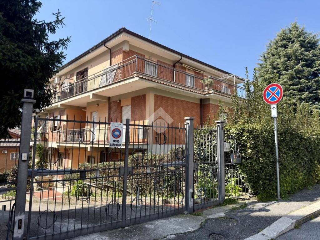 immagine annuncio 12 di 13