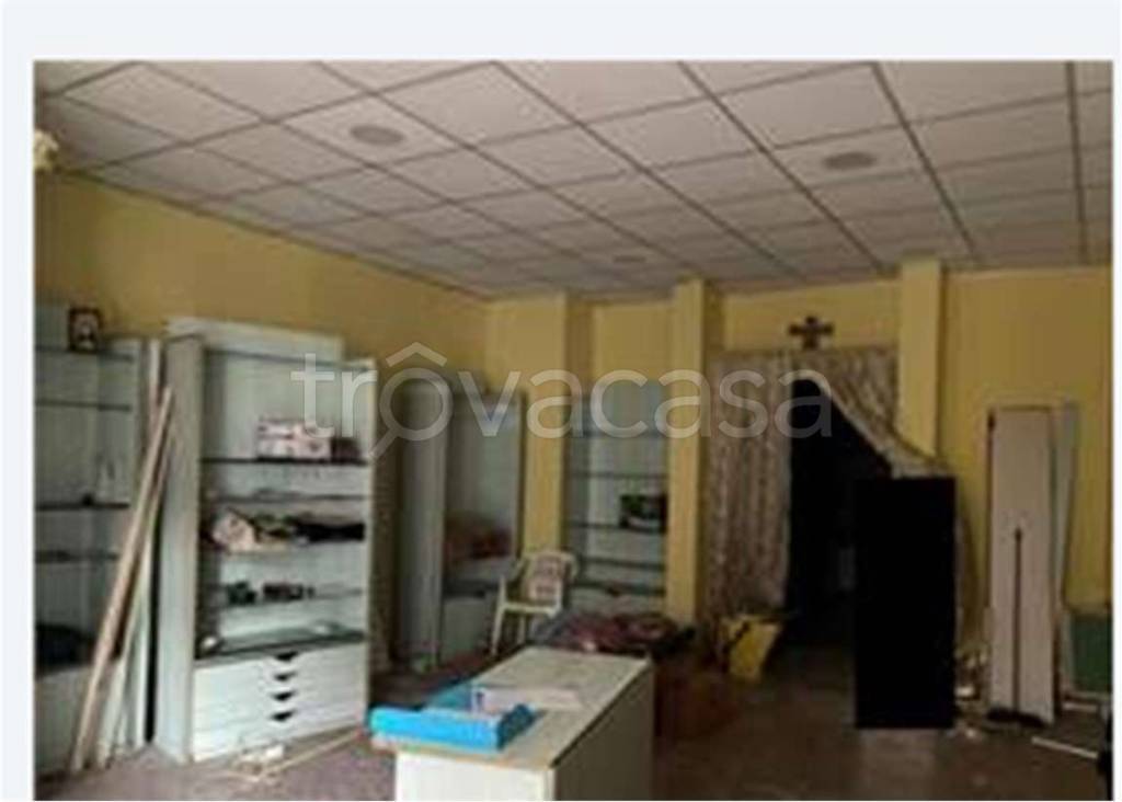 immagine annuncio 2 di 7