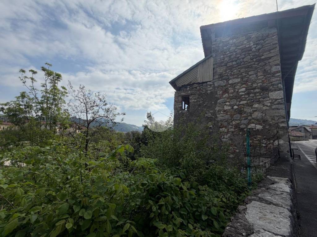 immagine annuncio 4 di 14