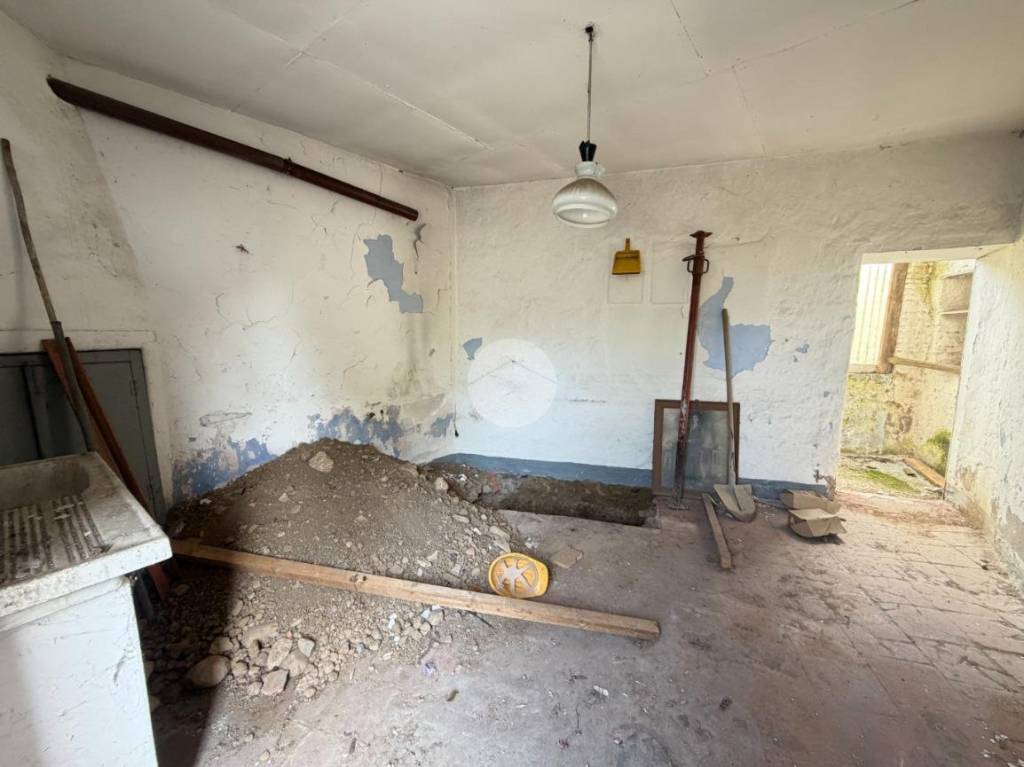 immagine annuncio 10 di 14