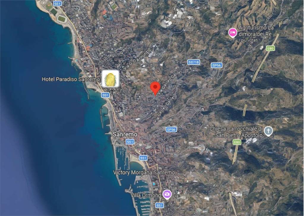 immagine annuncio 3 di 11