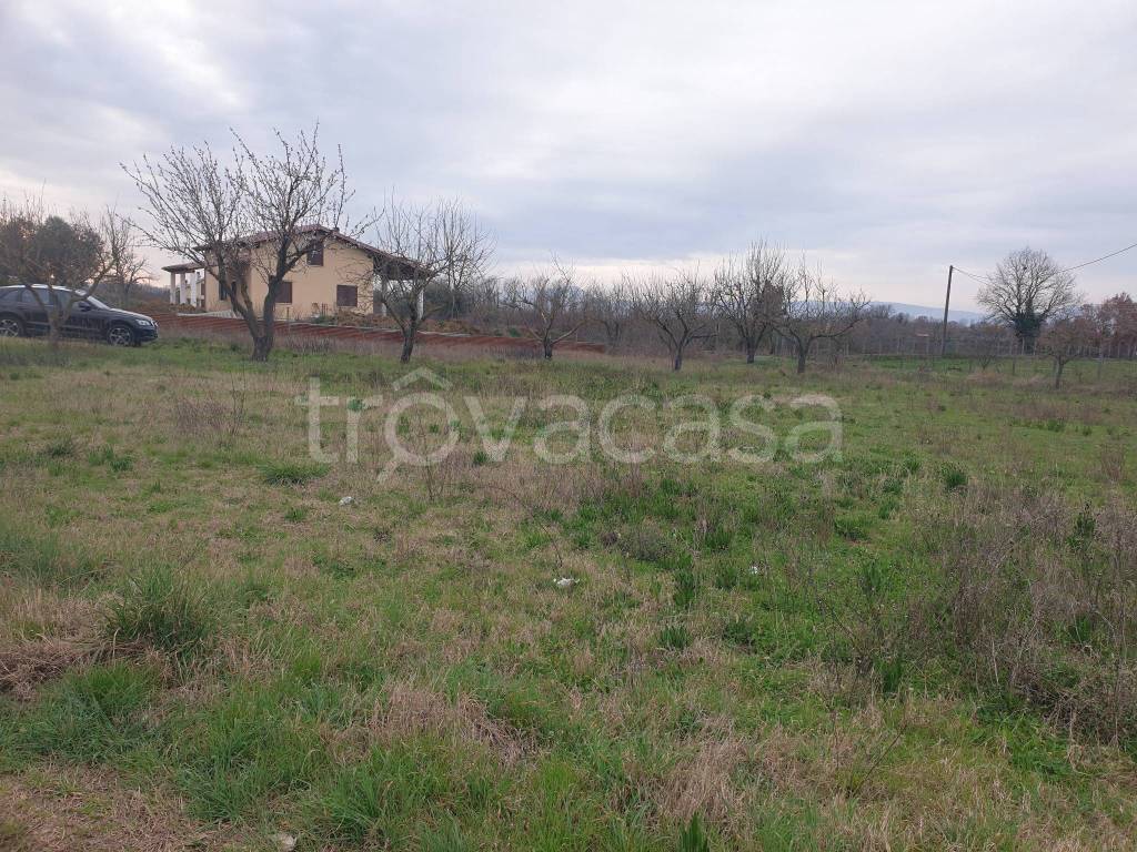 immagine annuncio 1 di 4