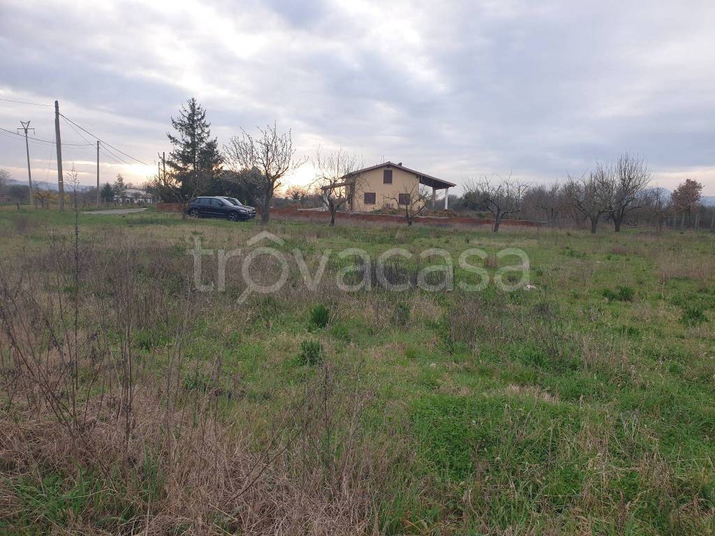 immagine annuncio 2 di 4