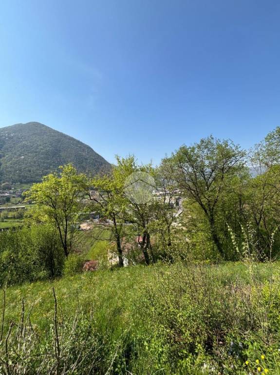 immagine annuncio 6 di 12