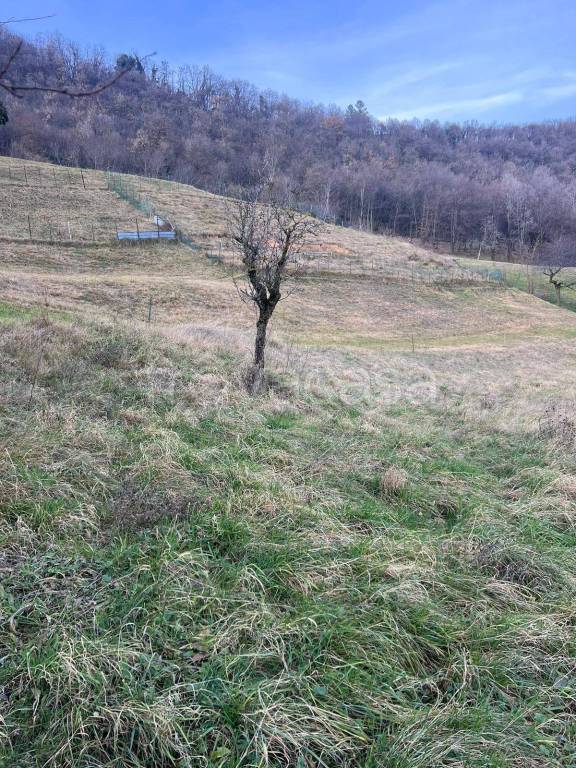 immagine annuncio 3 di 6