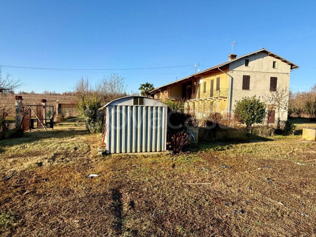 immagine annuncio 7 di 15