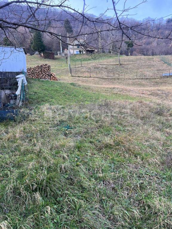 immagine annuncio 4 di 6