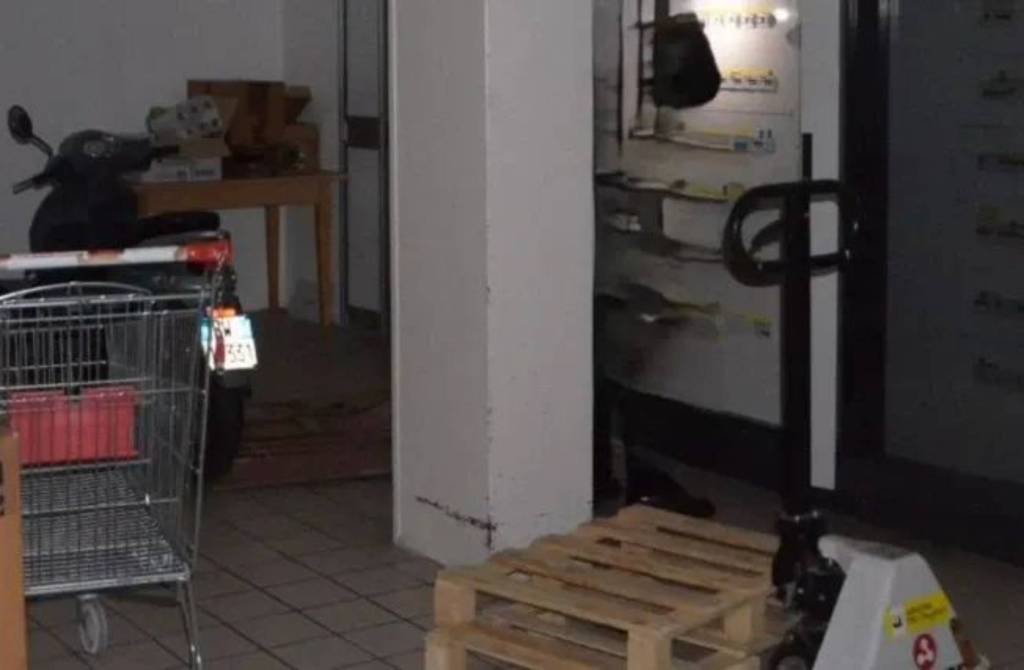 immagine annuncio 4 di 10