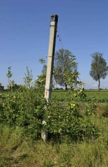 immagine annuncio 2 di 8