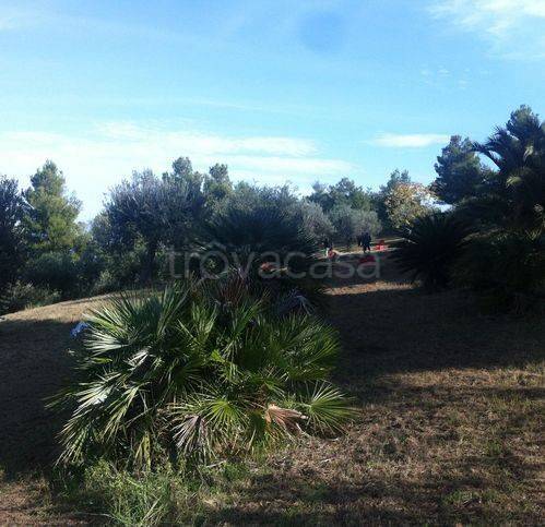 immagine annuncio 3 di 9