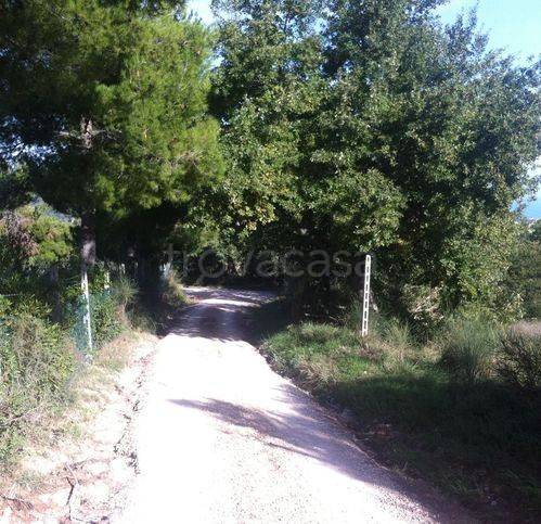 immagine annuncio 4 di 9