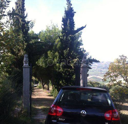 immagine annuncio 5 di 9