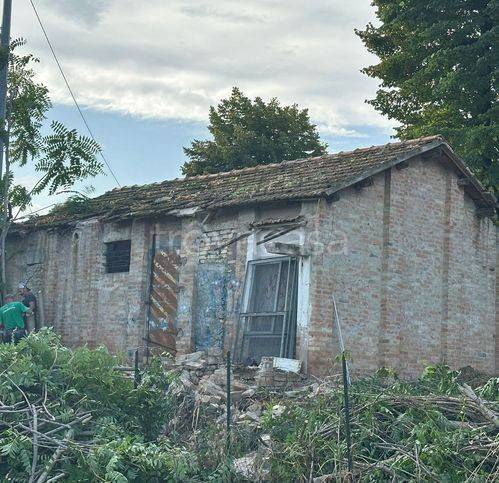 immagine annuncio 1 di 8