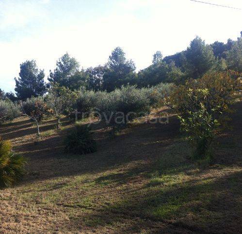 immagine annuncio 6 di 9