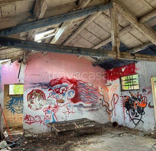 immagine annuncio 2 di 8