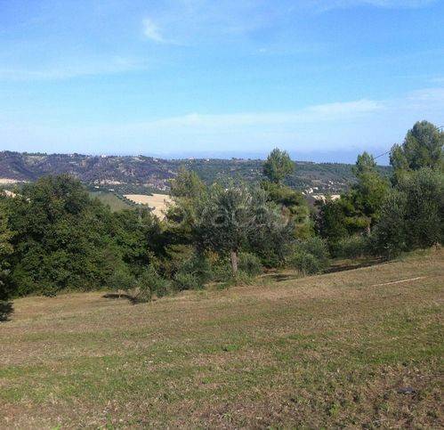 immagine annuncio 7 di 9