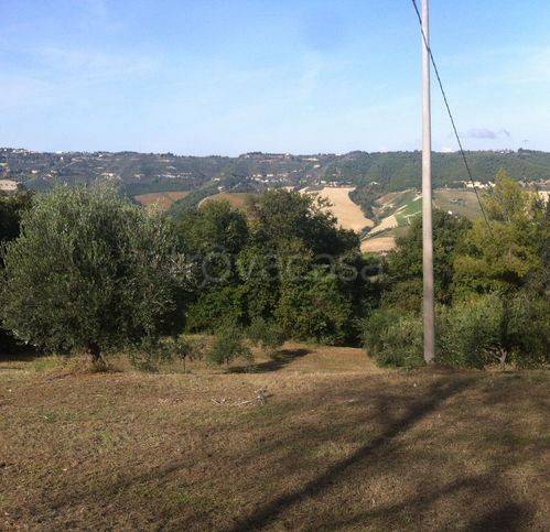 immagine annuncio 8 di 9