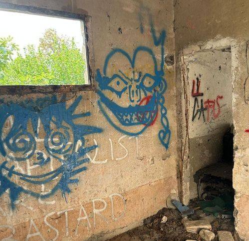 immagine annuncio 4 di 8