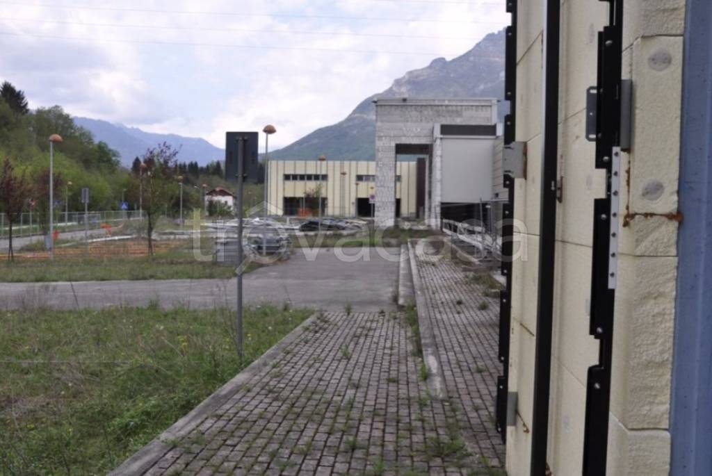immagine annuncio 5 di 12