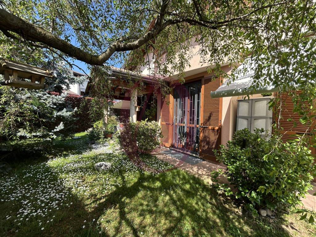 immagine annuncio 8 di 15