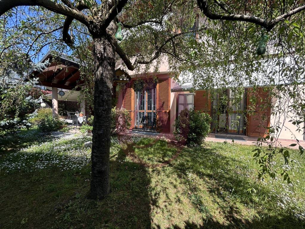 immagine annuncio 9 di 15