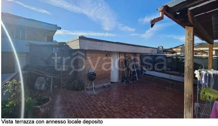 immagine annuncio 5 di 11