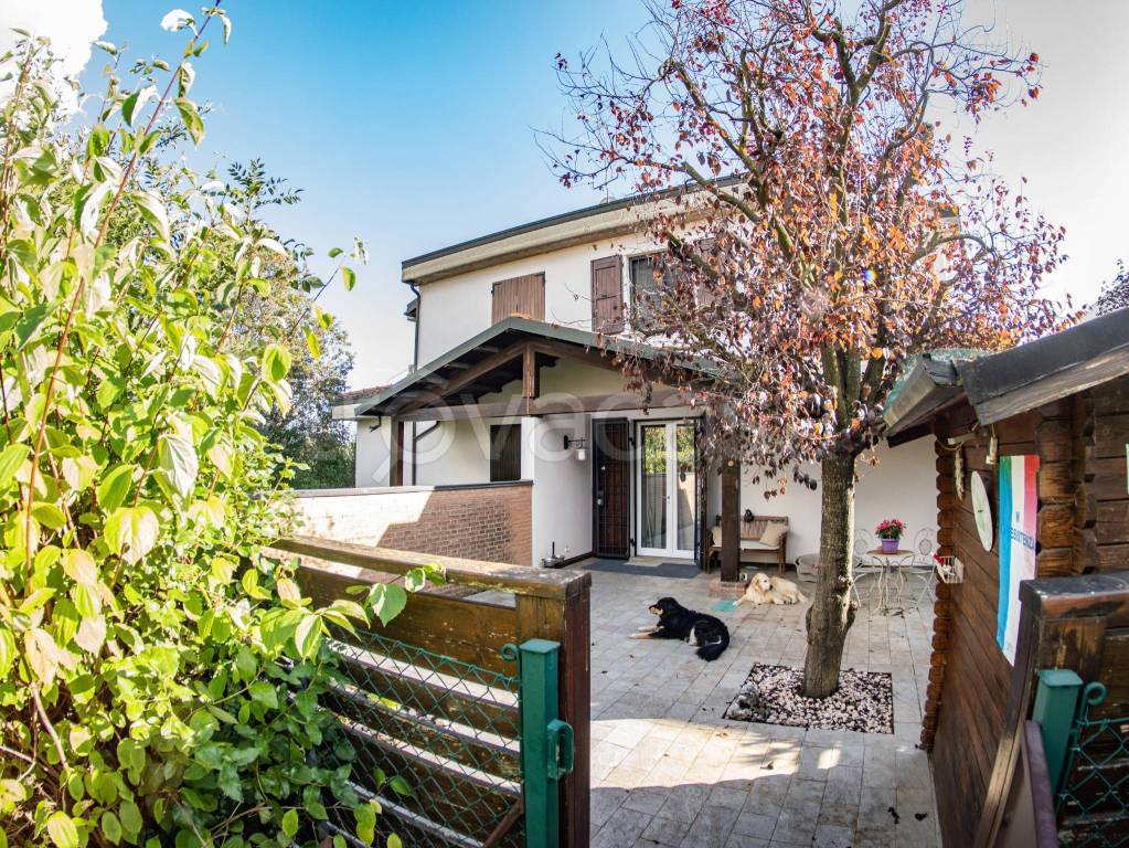 immagine annuncio 2 di 15