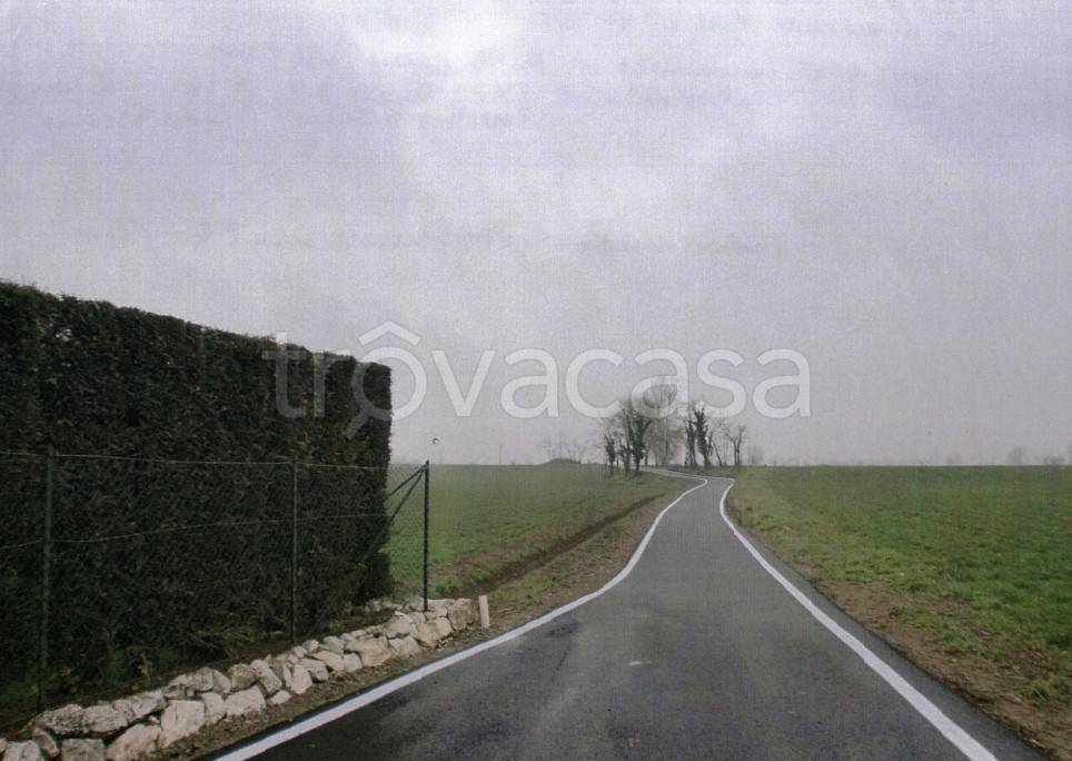 immagine annuncio 2 di 12