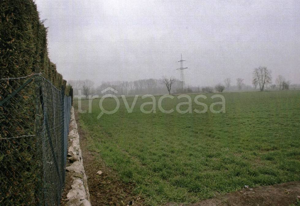 immagine annuncio 4 di 12